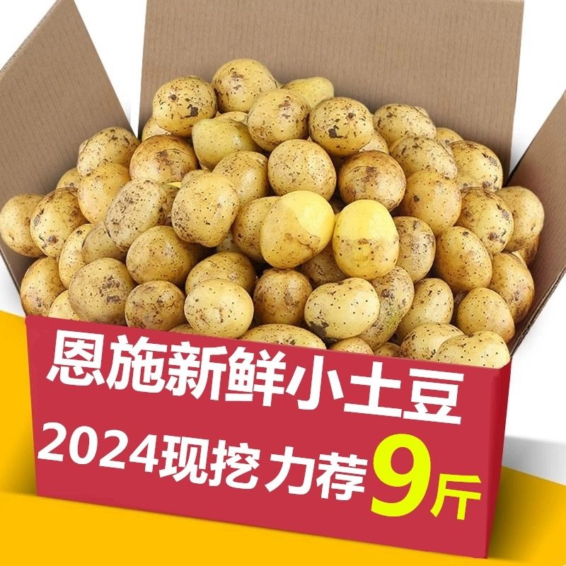【直播专属福利】恩施土特产农家自种新鲜老品种黄心小土豆 新鲜