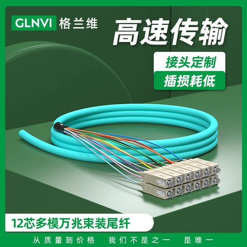 格兰维多模万兆束状尾纤电信级