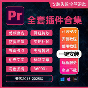 pr插件合集全套2025一键安装包转场字幕调色磨皮美颜降噪特效MAC