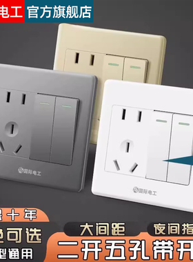 FDD国际电工86型暗装2开双开双控五孔二开五孔带开关插座家用面板