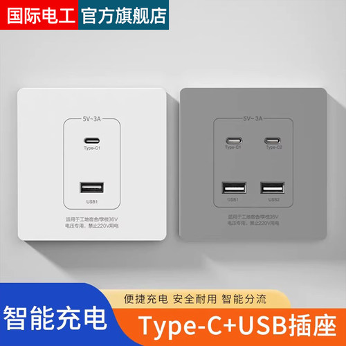国际电工36V/220VUSB充电插座