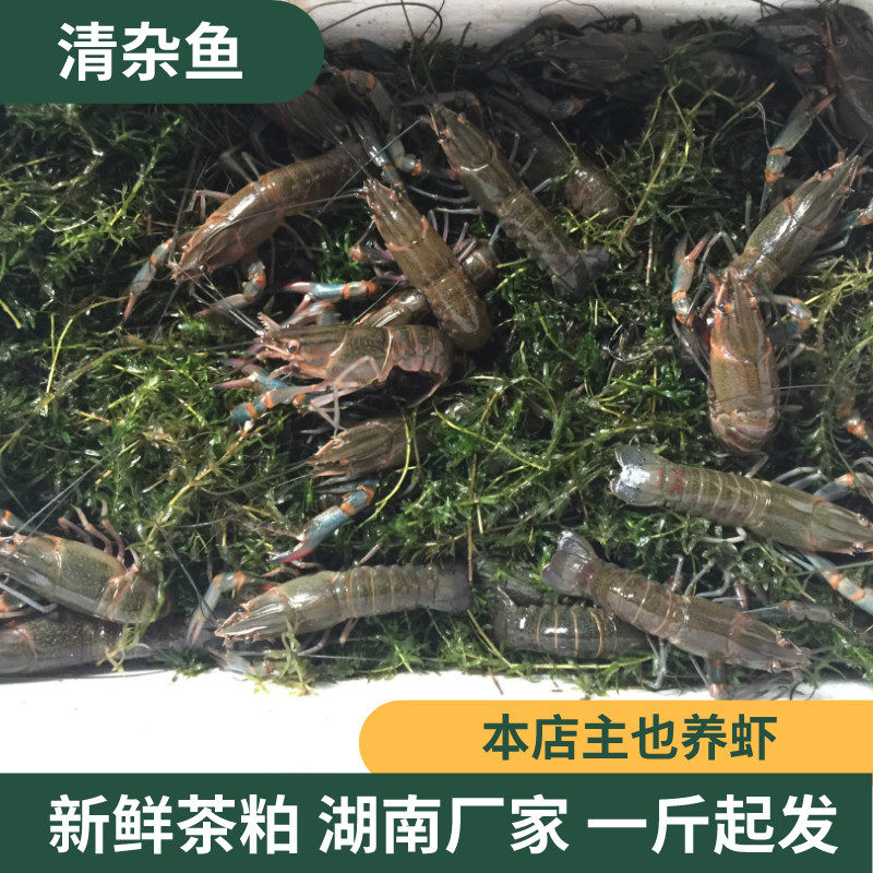 虾蟹蚯蚓蜗牛福寿螺有机肥茶麸
