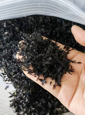 福建霞浦碎紫菜无沙免洗无油合适馄饨炒饭商用紫菜汤特碎碎紫菜