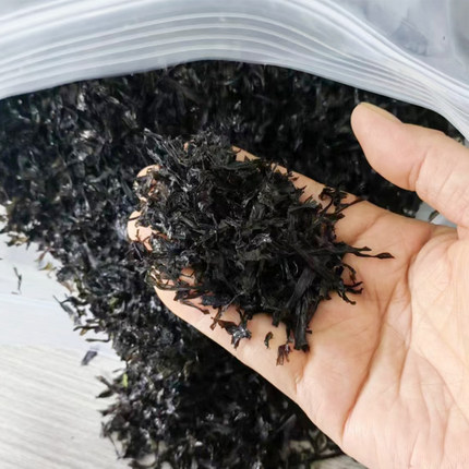 福建霞浦碎紫菜无沙免洗无油合适馄饨炒饭商用紫菜汤特碎碎紫菜