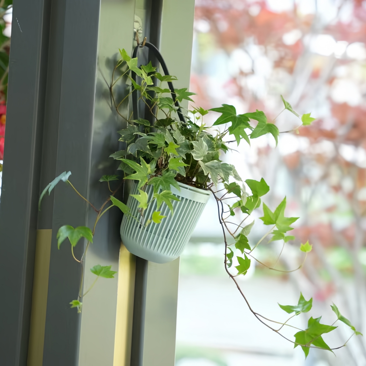 吊兰花盆悬挂式垂吊塑料藤编吊篮盆懒人吸水挂壁绿萝常春藤小吊盆