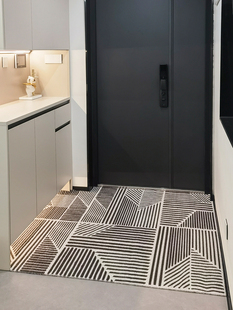 2025新型除尘丝圈地垫入口门垫防滑家庭入口地毯可切割耐脏