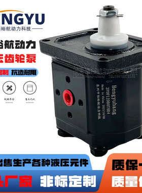 Hengyuhang齿轮泵2PDF12DB0T0E4布赫泵BUCHER液压泵AP200油泵高压