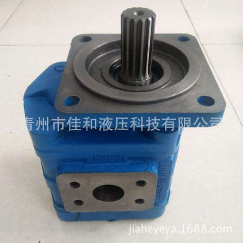 装载机工作泵9F662-54D040000A0    j0016XF齿轮泵