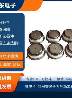 SW38CXC515 SW45CXC515 SW16CXC565 SW20CXC565西玛二极管平板型