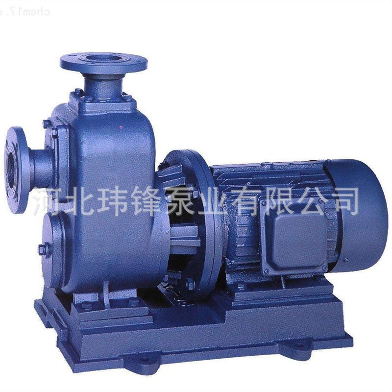 80BZ-30型自吸式排污泵 自吸直联泵 自吸离心泵