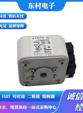 熔断器全新170M6499 170M6500 170M6501 170M6644/6645/6646现货