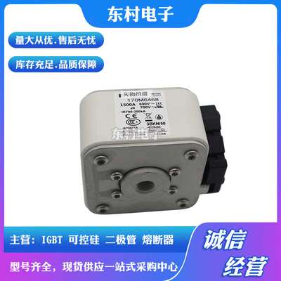 熔断器全新170M6499 170M6500 170M6501 170M6644/6645/6646现货