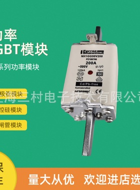 全新熔断器保险丝NH000GG69V20 L228446 NH000GG69V25M228447