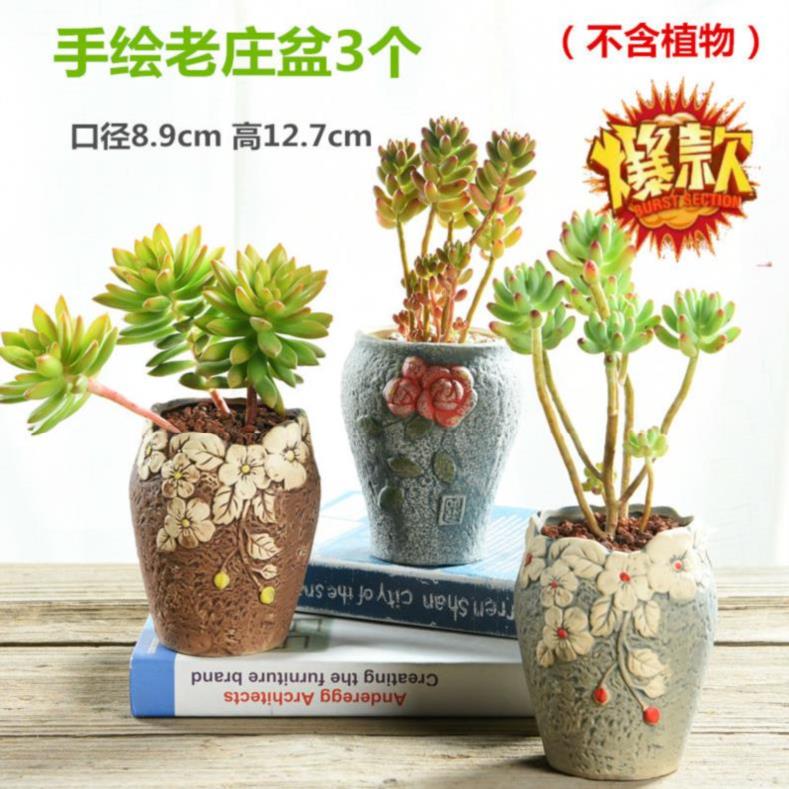 北欧风格的多肉花盆价格 北欧风格的多肉花盆图片 星期三