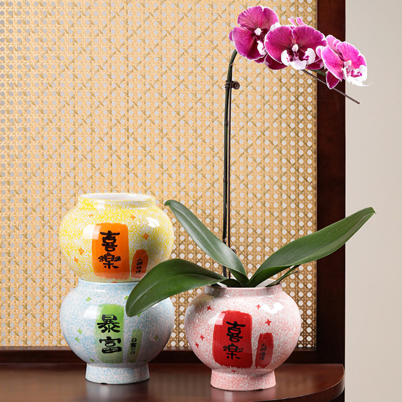 2026新款陶瓷花盆感蝴蝶兰花盆家用桌面绿植容器新年装饰花盆