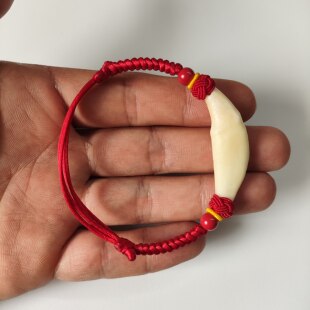黑狗牙手链男女成人新生婴儿宝宝儿童红绳真狗牙手工编织脚链