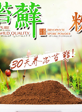 天然野生苔藓孢子粉上水石吸