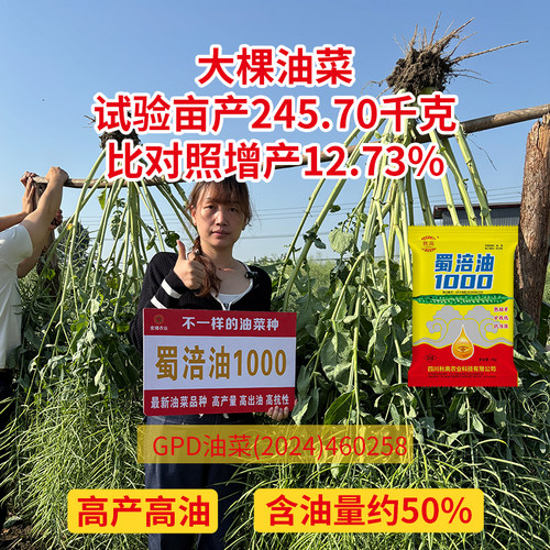 蜀涪油1000增产版高产杂交油菜