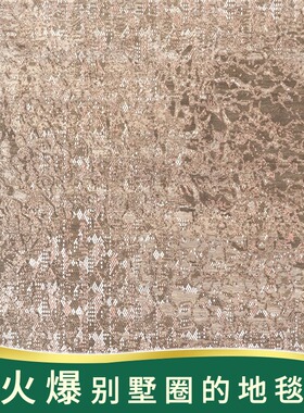 天匠地毯244x302cm手工羊毛地毯房间商用家用简约现代地毯客厅