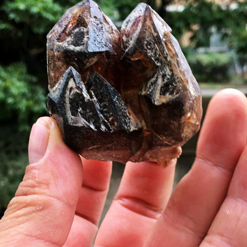 骸骨价格 骸骨图片 星期三