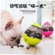 dog puzzle toy Dog food ball tumbler intelligence leaky
