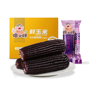 【头茬玉米】傻小胖小花青紫玉米真空新鲜糯黑玉米非转基因小黄箱