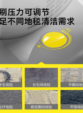 Karcher/德国卡赫CV 30/1 Import Upright Carpet Vacuum Cleaner