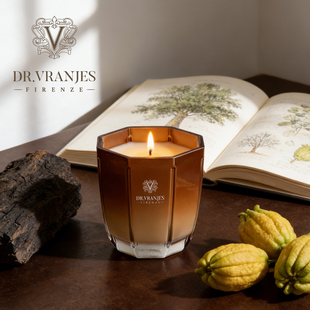 意大利DrVranjes香薰蜡烛室内家用持久留香乌木佛手高级木质调