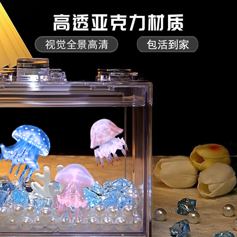 水母活物宠物学生好养的小型动物桌面鱼缸网红懒人赤月水母专用缸