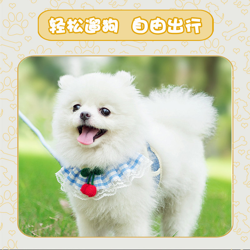 狗狗牵引绳小型犬狗绳子背心式泰迪比熊博美遛狗绳猫咪牵引绳背带