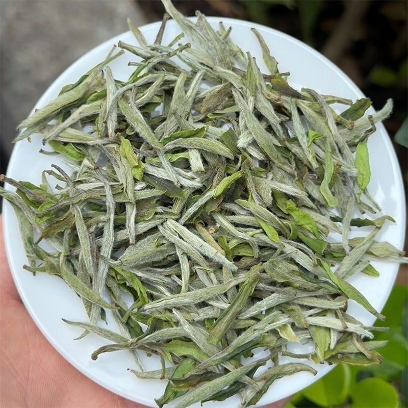 2026福鼎白茶牡丹王散装白牡丹新茶春茶散装浓香型茶叶实惠口粮茶