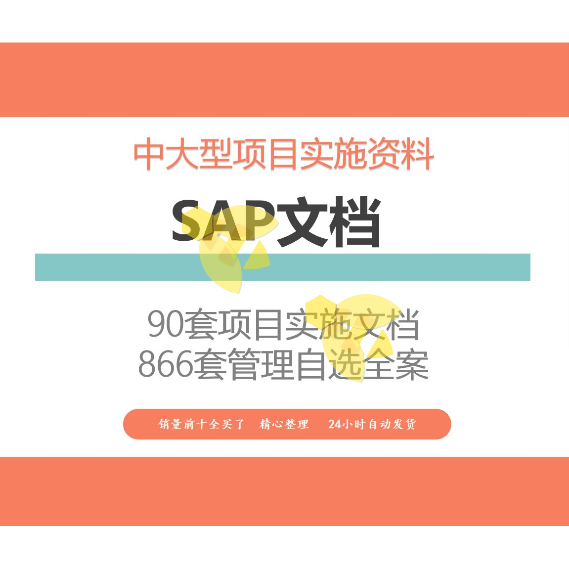 SAP项目案例蓝图实施案例中大型项目实施资料 各行业管理咨询案例