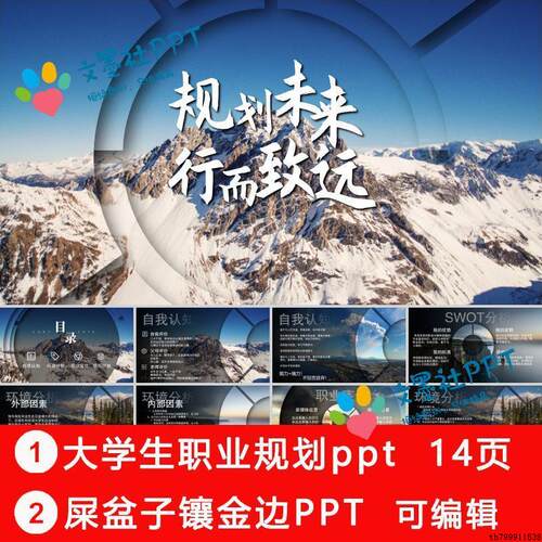 SSA屎盆子镶金边ppt大学生职业生涯规划大赛模板高端大气轮播PPT