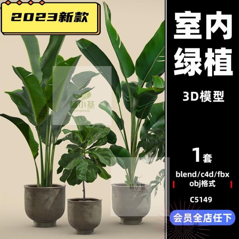 C4D低模室内植物龟背竹鹤望兰盆栽fbx大叶植物blender模型obj素材