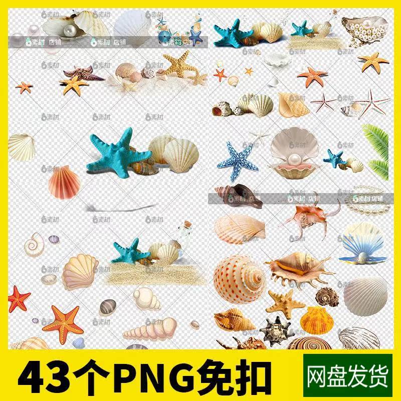 沙滩贝壳夏季清凉海边海滩手绘海洋海星图片背景png免抠元素素材