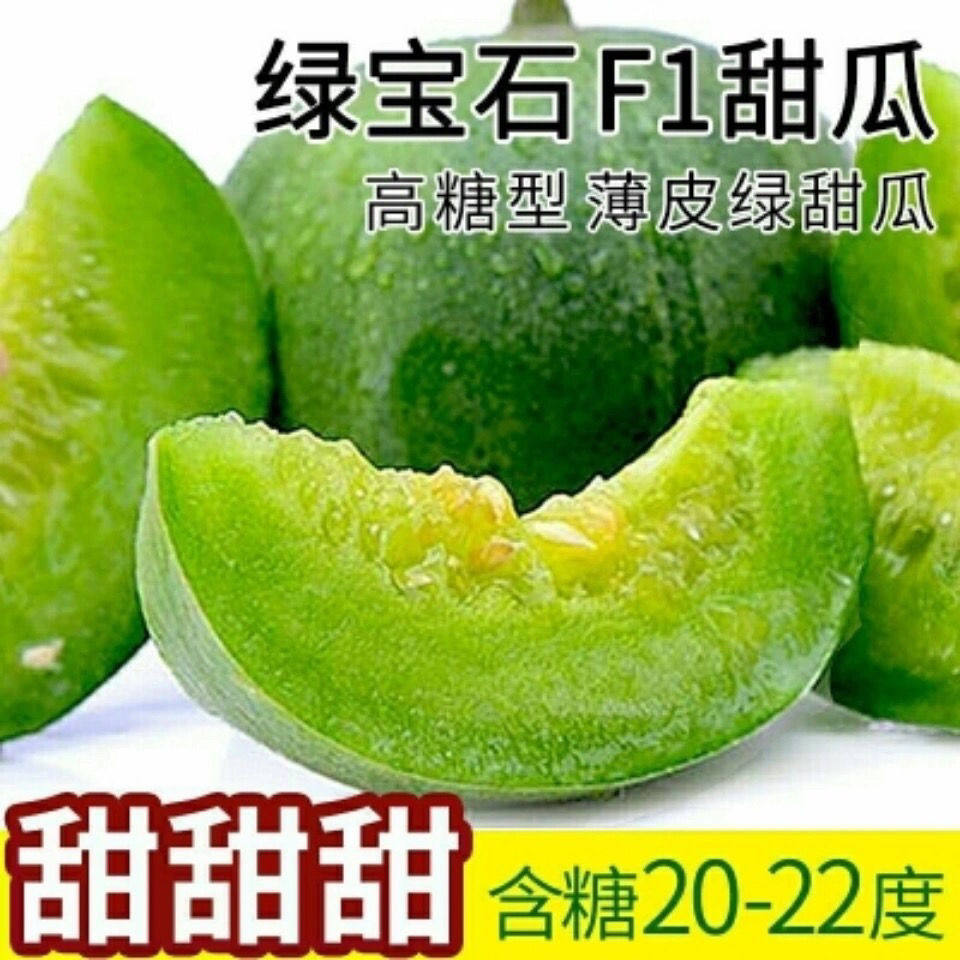 早熟甜瓜种子绿宝石种子