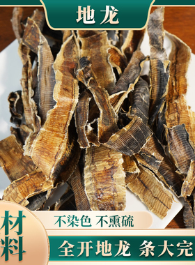 地龙中药材 全正品开干地龙片地龙粉食用广西广地龙蚯蚓干地龙干