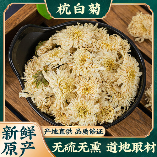 新货无硫散装杭白菊杭白菊花茶