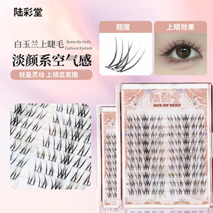 白玉兰假睫毛懒人10排大容量自然妈生感淡颜系空气感上镜自然分段