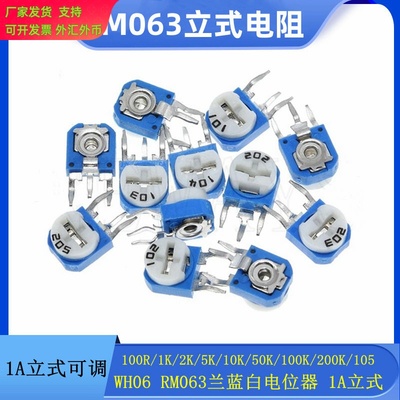 RM063立式蓝白可调电阻WH06