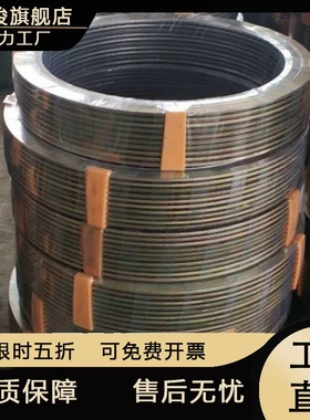 HG/T20610-2009标准金属缠绕垫片管道用基本型缠绕垫片石墨缠绕垫