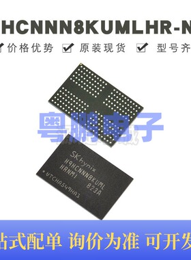 H9HCNNN8KUMLHR-NMI 贴片BGA-200 存储器IC 原装正品 提供BOM配单