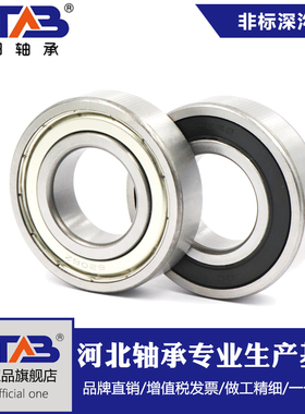 非标轴承 6800/20 MR2010 L2010 ZZ SB10206ZZ 10*20*5*6 mm