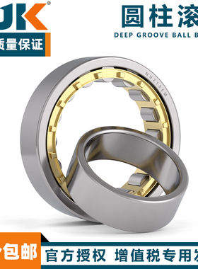 日本进口BJK轴承N NU NJ RN NUP 2204 2205 2206 2207 EW EM C3