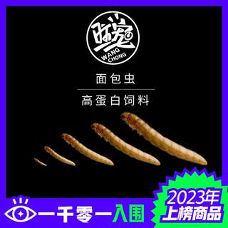 面包虫活体 黄粉虫幼虫卵 跳蛛 螳螂 乌龟 画眉鸟石蛙蜥蜴饲料