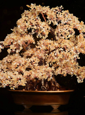 宝拉的布菲天然黄水晶摇钱树摇钱树乔迁新家客厅办公室装饰装饰品