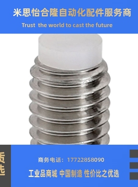 304内六角白色胶头机米止动SBPPS6/8-8/10/12/16/20/25/30/60