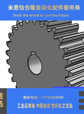 齿轮GEAKB2.0-40-20-30N  链轮SP40B21-N-30 链轮SP40B20-N-30 同