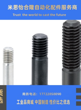 轴承止动销BGPM10/BGPM12-D13/D14/D15/D16/BGPS半螺纹内六角304