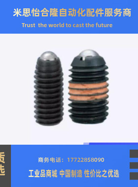 球头柱塞 BPY3/BPY4/BPY5/6/8/10/12/16弹弓销 BPY轻载型波珠螺丝